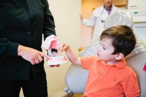 Child observing jaw model