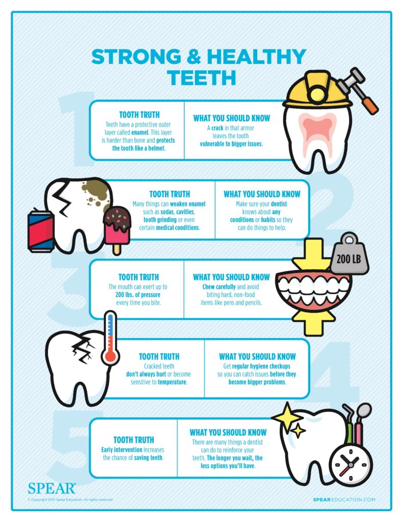 Strong & Healthy Teeth Infographic